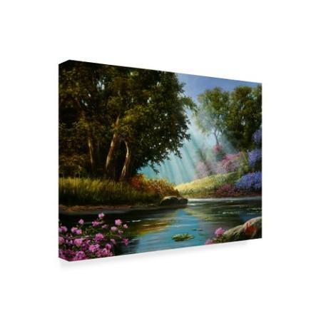 Trademark Fine Art Anthony Casay 'Garden 1' Canvas Art, 35x47 ALI20317-C3547GG